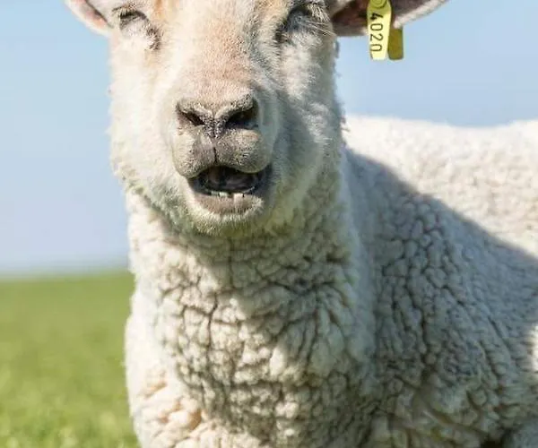 Stadtrand Wilhelmshaven Деревянный коттедж