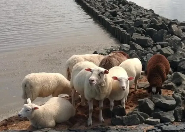 Stadtrand Wilhelmshaven Деревянный коттедж